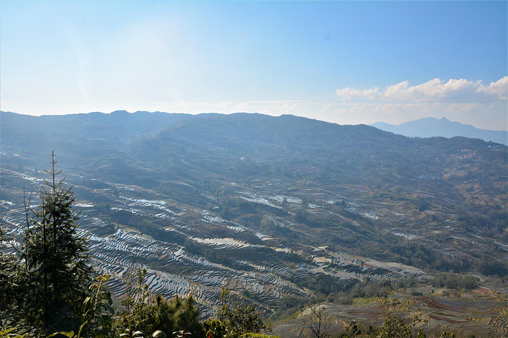 "坝达的日落景观令人震撼，是拍日落的最佳地点。【价格】【其他】【到达时间】16：20_坝达景区"的评论图片