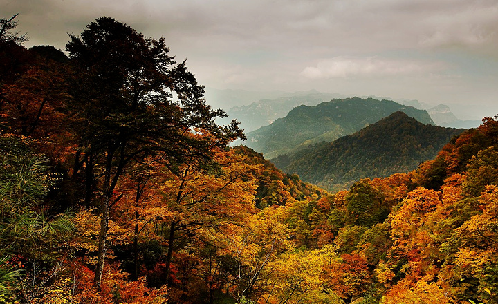 "光雾山|最佳旅游季节是秋季_光雾山旅游景区"的评论图片