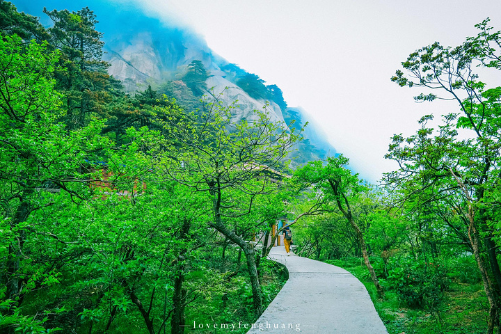 "...，这些远看似古堡魏立的天柱山岩石，在西关群峰垂直节理中非常发育，形成了横看成岭侧成峰的美丽景致_天柱山"的评论图片