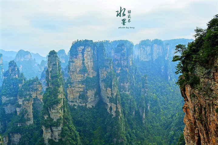 冬季是張家界旅遊的淡季,但黃石寨雪後景色是最美的,常常出現雲海霧淞