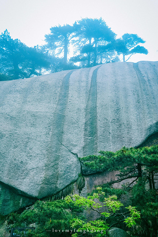 "...，这些远看似古堡魏立的天柱山岩石，在西关群峰垂直节理中非常发育，形成了横看成岭侧成峰的美丽景致_天柱山"的评论图片