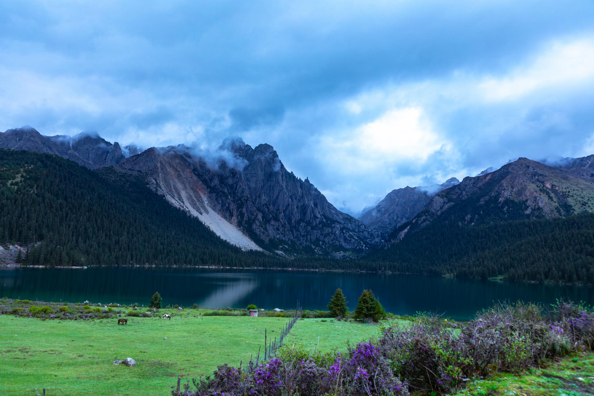 春日限定调香：措普沟的四月味道