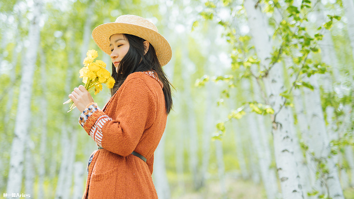 "挺拔、优雅的白桦树被邻居俄罗斯人赋予“美丽、纯洁”的品格，它全身是宝，树汁和树茸有药用价值，是..._七卡"的评论图片