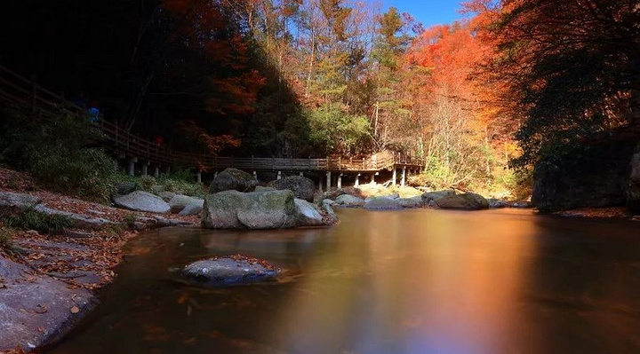 "光雾山地处川陕交界，位于川东北米仓山腹地，景区幅员420平方公里，由桃园，神门、万字格、普陀村..._光雾山旅游景区"的评论图片