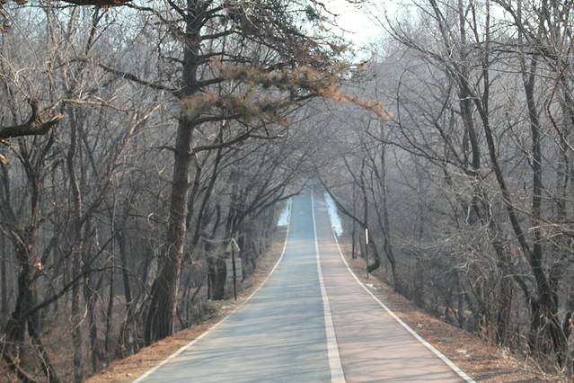 长春森林植物园