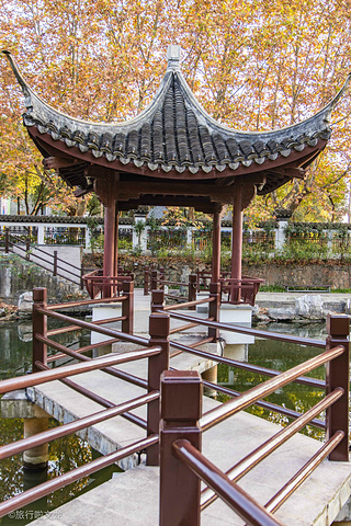 "范蠡湖公园，这里见证他和西施爱情的地方，当然要来这里一睹著名的历史古迹的公园，这个公园最独特之..._范蠡湖公园"的评论图片