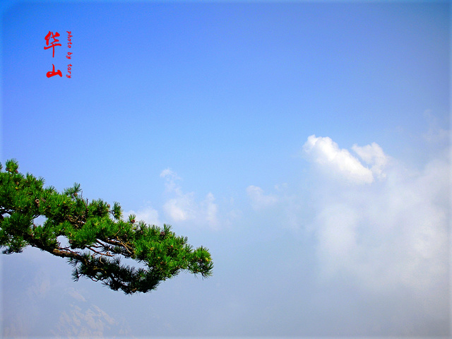 "华山-一定要体验长空栈道_华山"的评论图片