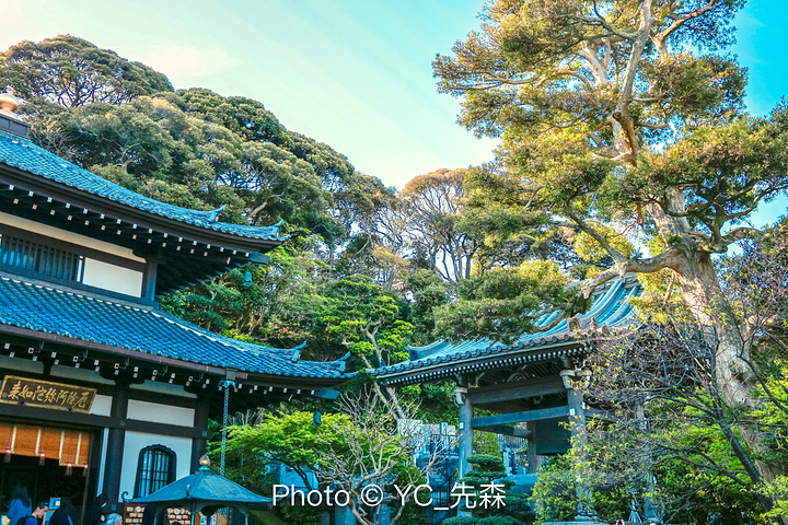"...，日本的园艺和建筑受到唐代的影响，和中国的古代园林比较相近，但是却更加精致，算是取了精华之处吧_长谷寺"的评论图片