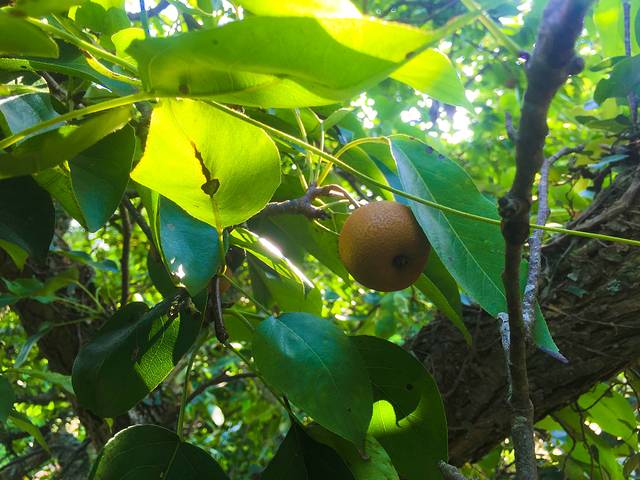 畲族风情村