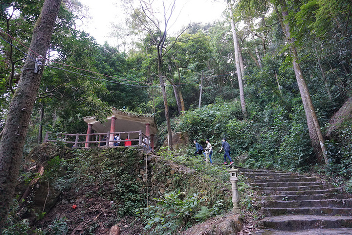 "前往飞霞山风景区，最好的方法就是游船+步行构成一幅一水远赴海，两山高入云的大自然美景出发吧朋友们_飞霞风景名胜区"的评论图片