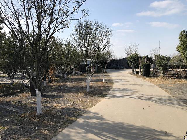 文明草莓园(鑫牛生态园店)