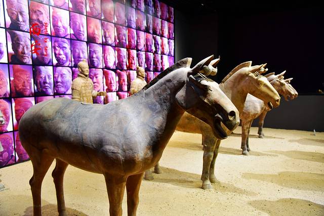 秦始皇帝陵博物院-铜车马博物馆
