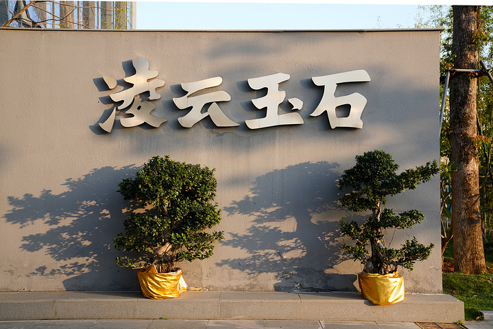 "说起来凌云玉石是非常厉害的，作为中国最专业同时也是最具文化品位的高端建材行业品牌，我们在总部的..._凌云玉石博物馆"的评论图片