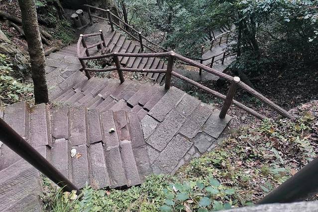 张家界国家森林公园-大氧吧广场