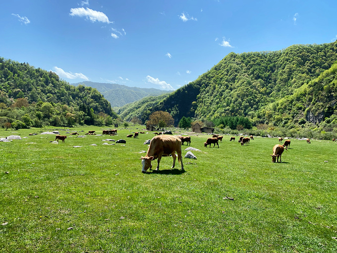 狮子沟牧场图片