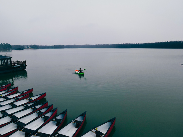 上海海灣國家森林公園