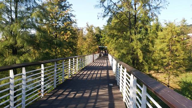 天河大观湿地公园