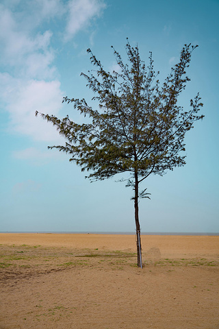 "第二个地方位于海边，在海甸岛上的 “白沙门公园” ，距离海口机场30分钟车程，也挺近的_白沙门公园"的评论图片