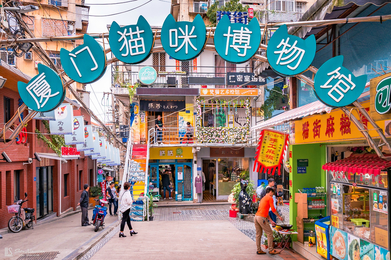 到猫街自然不能不去猫咪博物馆,以猫咪为主题的博物馆,十几个品种各异