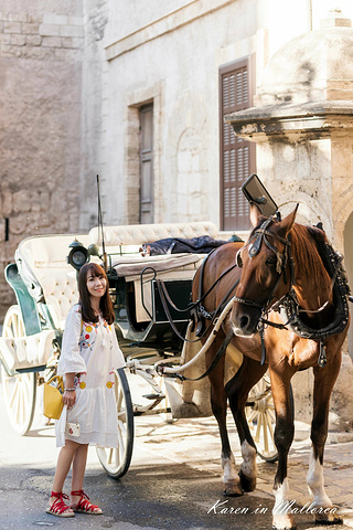 2019马略卡岛游玩攻略,马略卡岛交通\/住宿\/行程