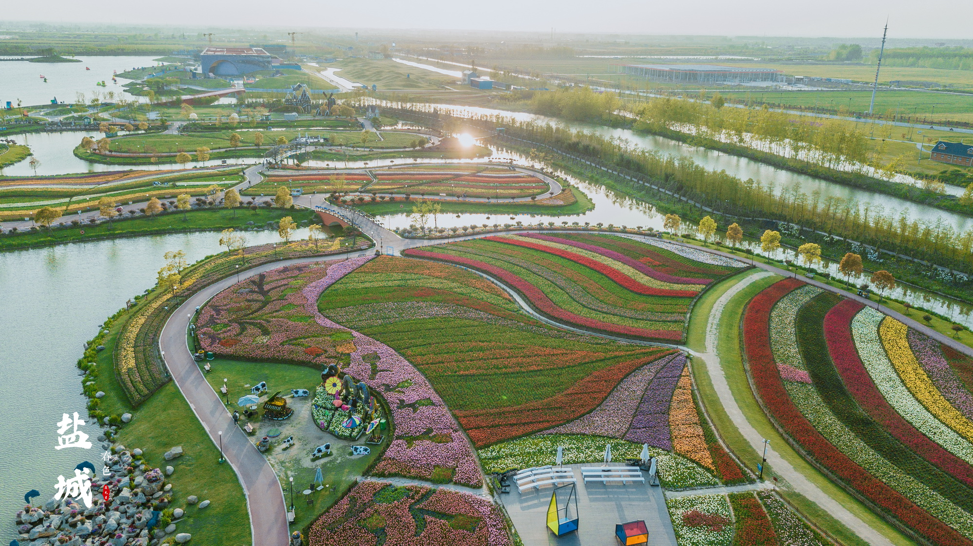 2023荷兰花海游玩攻略,最佳观赏花期:3月下旬到5月 .【去哪儿攻略】