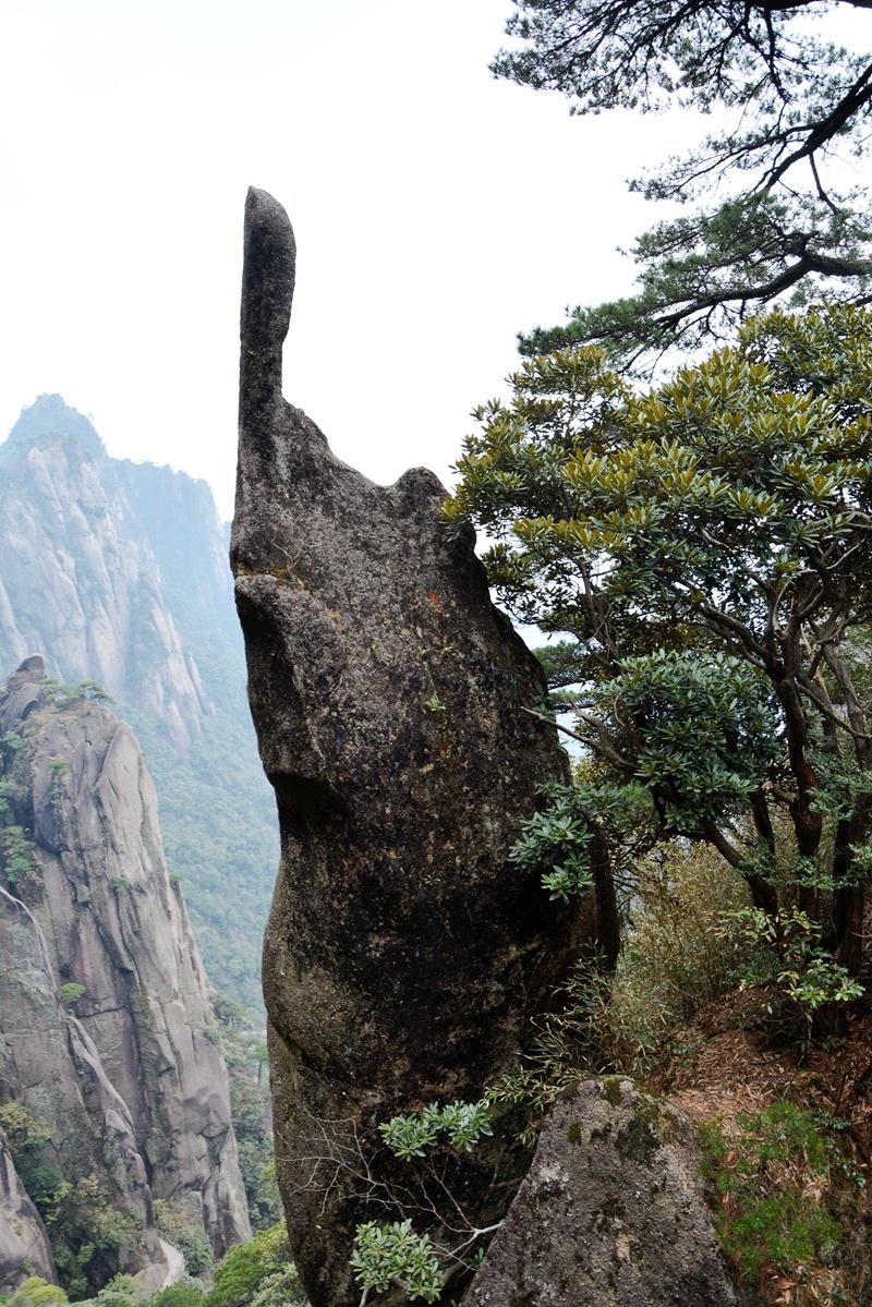 三清山主峰玉京峰海拔18199米终年云缠雾绕充满仙风神韵如仙境一般