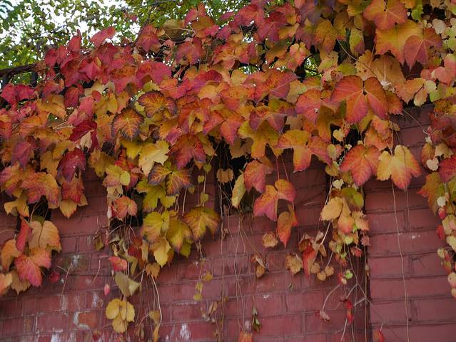 三套车俄罗斯风情园