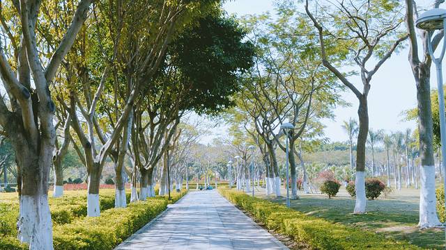 燕尾山生态公园