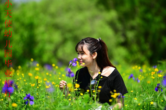 夏季呼伦贝尔,重返童年和孩子一起度过-额尔古纳旅游攻略-游记-去哪儿