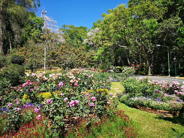 "有机会回去再去看上面的玫瑰园和园林。据说这里的玫瑰品种之多是非常有名的。只能感叹国王太会享受了_蒲屏皇宫"的评论图片