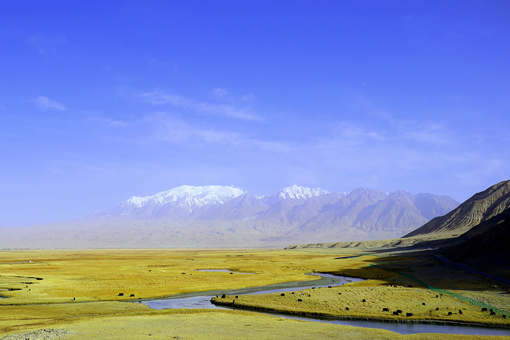 "后来，才发现“最 新疆 ”的喀什不止人文，还有意想不到的风景。◆◆塔合曼湿地◆◆而，等风却不如追风_塔合曼高原湿地"的评论图片