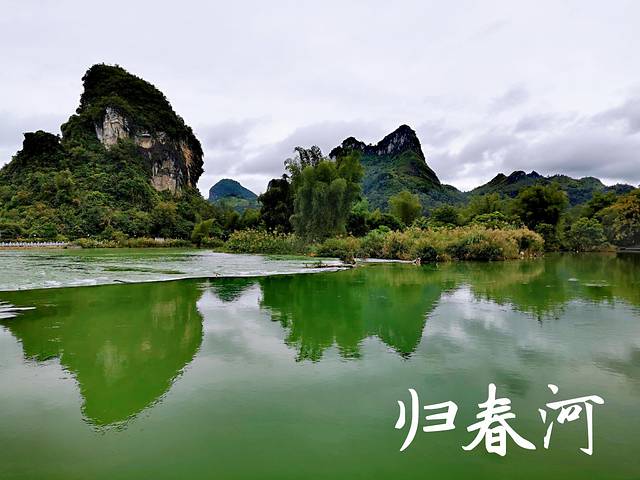 德天老木棉景区