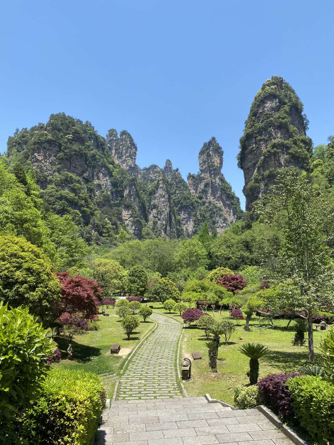 年张家界天门山最新攻略 旅游攻略 游记 去哪儿攻略