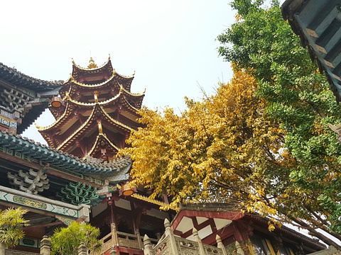 磁器口古镇-宝轮寺旅游景点图片