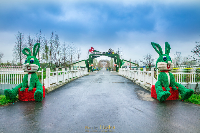 三禾麦可兔小镇图片