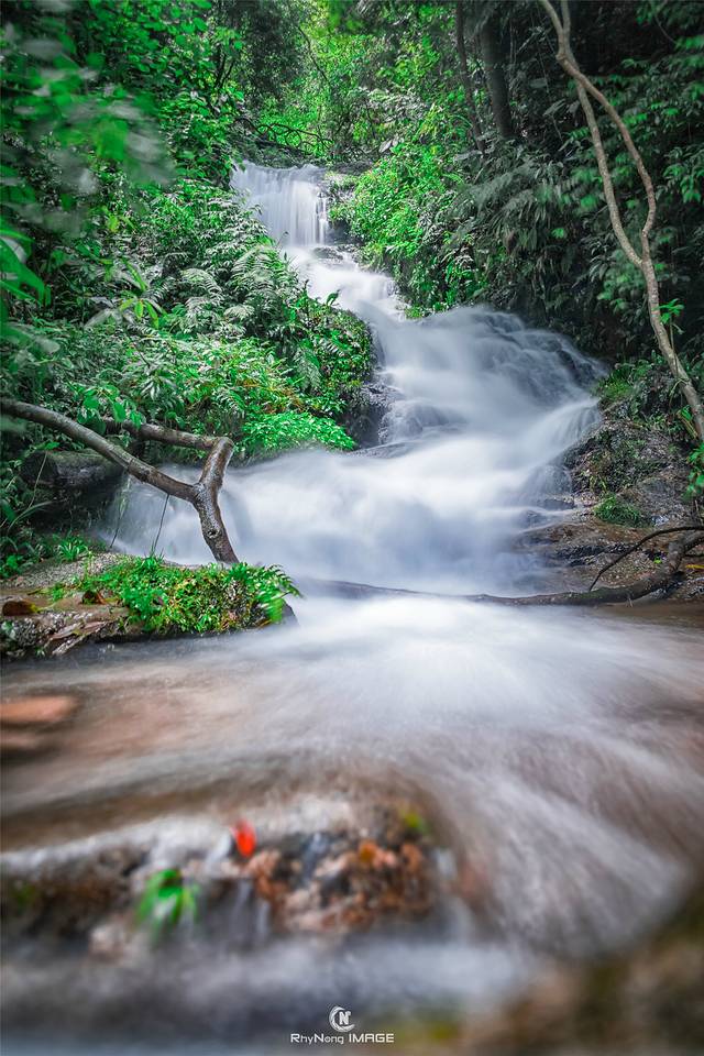 天井山国家森林公园