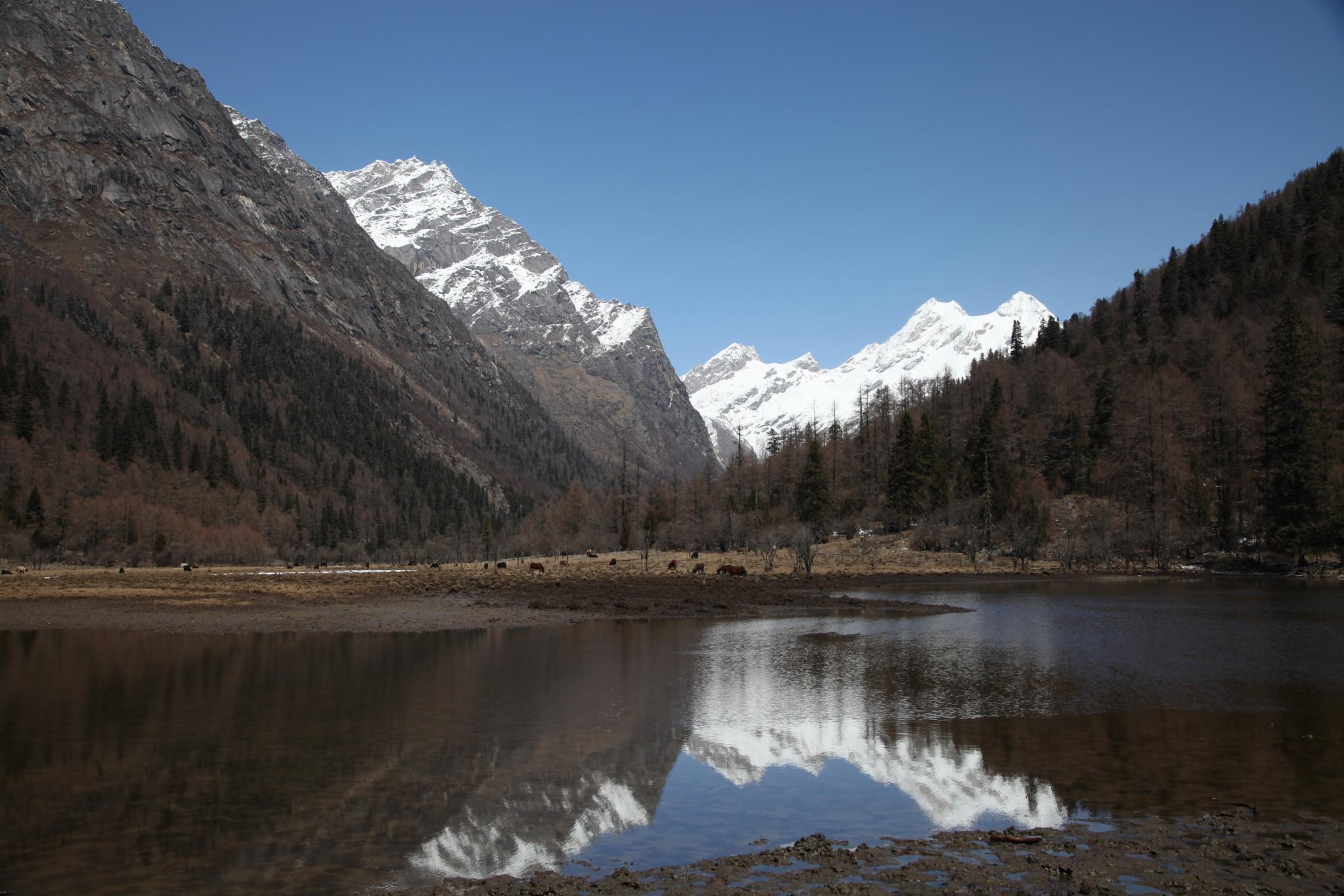 2024四姑娘山长坪沟景区游玩攻略,淡季时几乎没人去海子沟游玩.