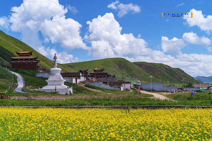 "完全被高山草甸油菜花海包围，尤其路边的上浪坎村，美得可以让人语无伦次，不成为特色旅游风景线简直……木_美仁大草原"的评论图片