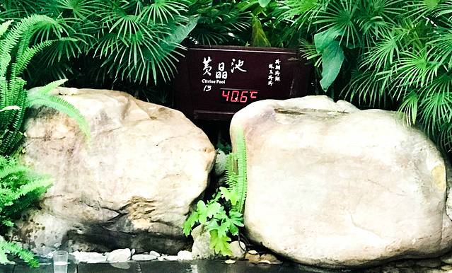 腾冲悦椿温泉村【餐饮】