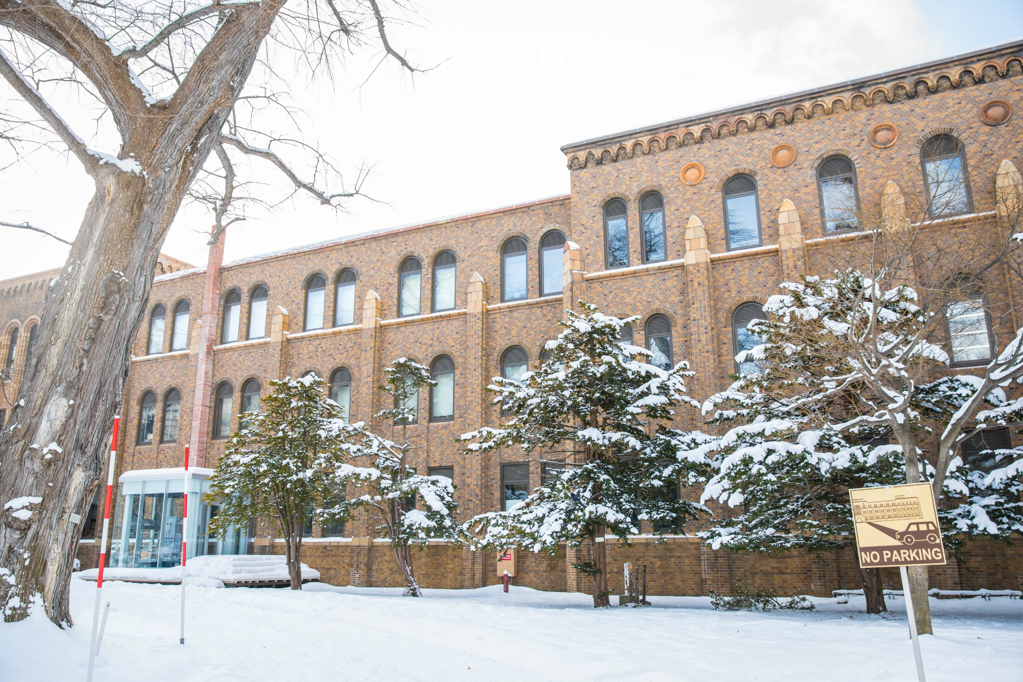 北海道大学图书馆图片