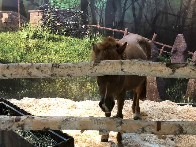 萌乐游亲子互动馆