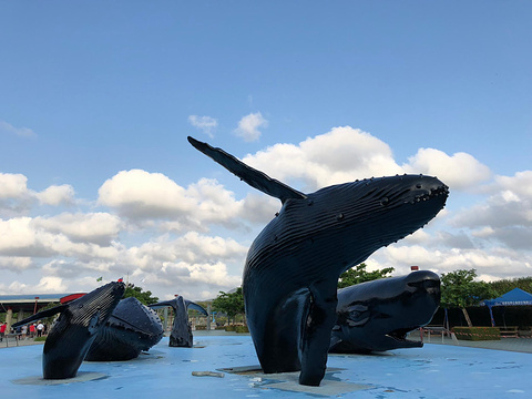 屏东国立海洋生物博物馆(National Museum Marine Biology & Aquarium)旅游景点攻略图