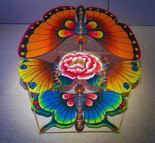 阳江感受风筝文化