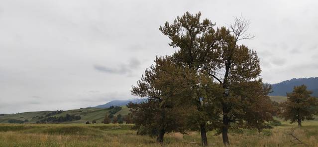 那拉提空中草原