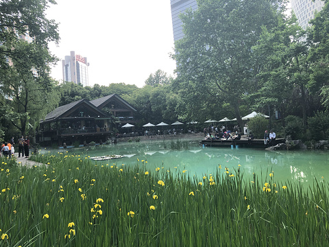 静安公园旅游景点图片