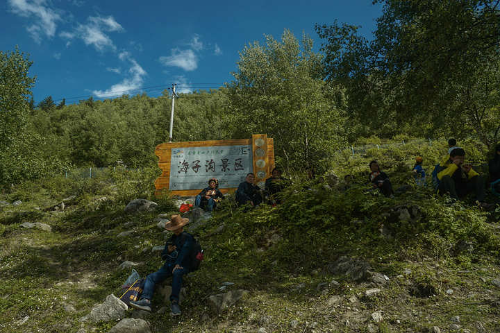 "舍不得离开这片宁静的土地，只能在返程的路上再举起相机，好好定格它的美丽。自由而快乐幸运_四姑娘山海子沟风景区"的评论图片