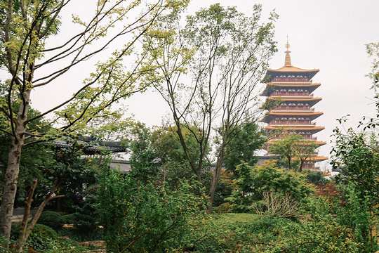 牛头禅文化园旅游景点图片