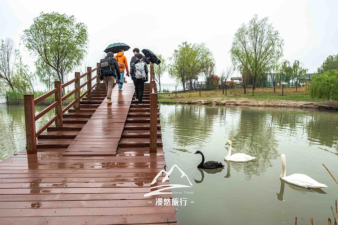 潘安湖国家湿地公园图片