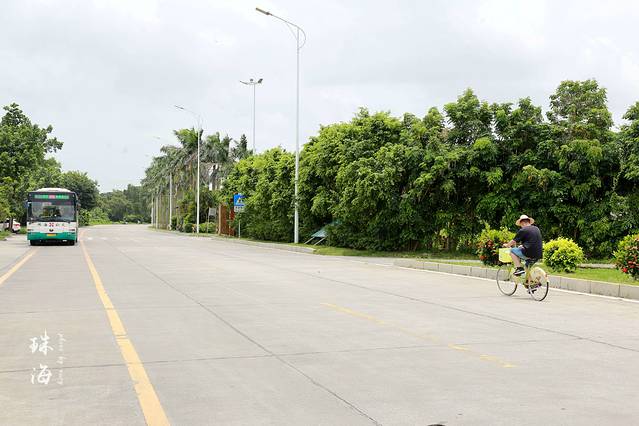 珠海淇澳红树林保护区