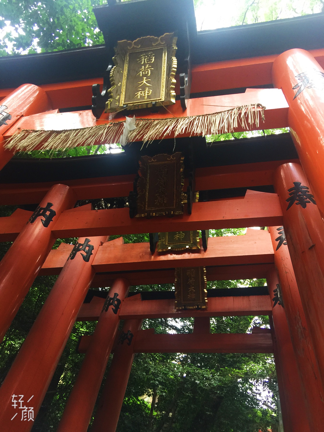 2019端午京都宇治大阪行 京都旅游攻略 游记 去哪儿攻略